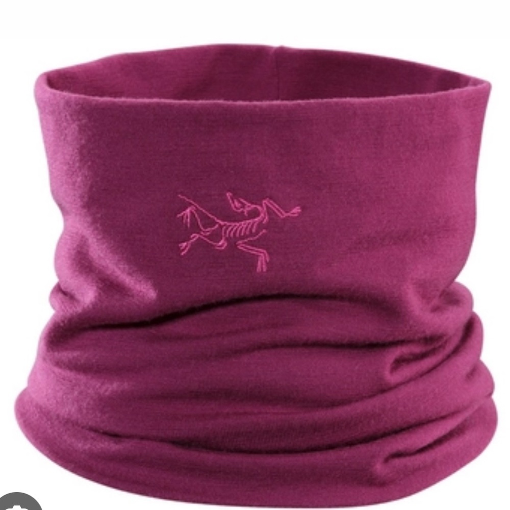 Neck Warmer Arc'teryx Rho LTW Neck Gaiter LT Chandra